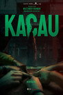 Kacau poszter