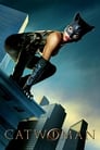 Catwoman poszter