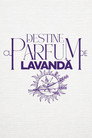 Destine cu parfum de lavandă poszter