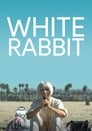 White Rabbit poszter
