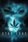 Star Leaf poszter