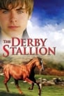 The Derby Stallion poszter