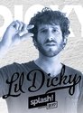 Lil Dicky au splash! Festival 2017 poszter