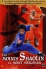 Les moines Shaolin du Mont Songshan