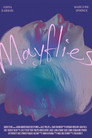 Mayflies poszter