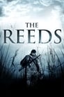 The Reeds poszter