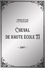 Cheval de haute école, II