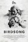 Birdsong