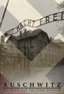Auschwitz: The Nazis and the Final Solution poszter