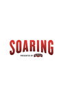 SOARING poszter
