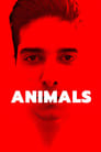 Animals poszter