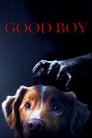 Good Boy poszter