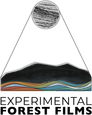 Experimental Forest Films