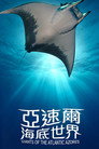 亚速尔海底世界 poszter