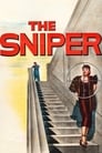 The Sniper poszter