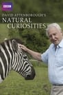 David Attenborough's Natural Curiosities poszter