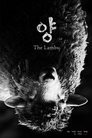 card-thumbnail