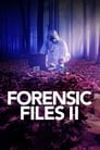 Forensic Files II poszter