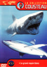 La Collection Cousteau N° 1-1 | Le Grand Requin Blanc