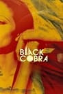 Black Cobra