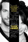 Silver Linings Playbook poszter