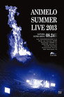 Animelo Summer Live 2013 -FLAG NINE- 8.24 poszter