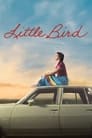 Little Bird poszter