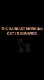 The Hardest Working Cat in Showbiz