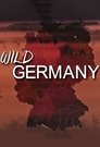 card-thumbnail