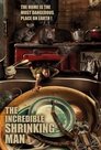 Szerep: Élise The Incredible Shrinking Man poszter