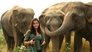 Malaika and the Elephants