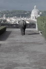 Metodo dei Loci