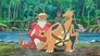 Image Pokémon