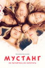 Постер: Mustang
