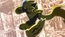 Image Pokémon