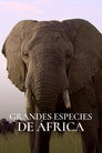 Plakat for 'Great Species of Africa'