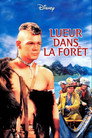 Lueur dans la forêt