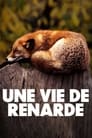 Une vie de renarde