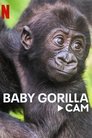 Baby Gorilla Cam Episode Rating Graph poster