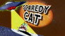 Scaredy Cat