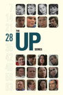 Постер: 28 Up