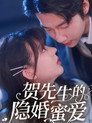 贺先生的隐婚蜜爱