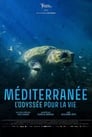 مترجم أونلاين وتحميل كامل Méditerranée, l’odyssée pour la vie مشاهدة مسلسل