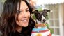 Pooch Party