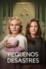 Pequenos Desastres