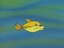 The Golden Dolphin