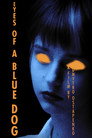 Eyes of a Blue Dog