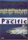 Miracle in the Pacific Episode Rating Graph poster
