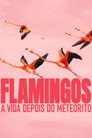 Flamingos: A Vida Depois do Meteorito