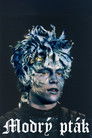Modrý pták